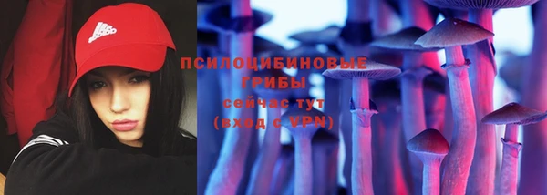 бошки Осинники
