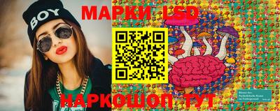 Альфа ПВП Аргун