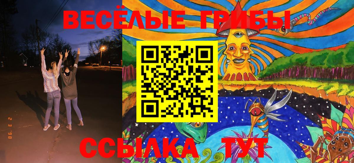 Псилоцибиновые грибы мицелий Аргун