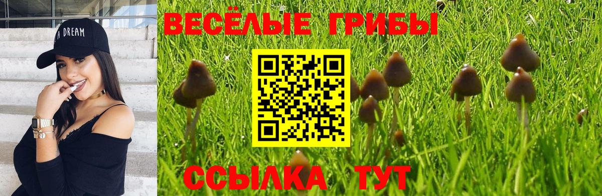 Псилоцибиновые грибы GOLDEN TEACHER  Вход с VPN  Аргун  Псилоцибиновые грибы GOLDEN TEACHER 
