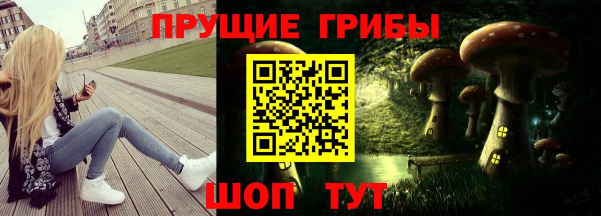 Галлюциногенные грибы Psilocybe  Аргун 